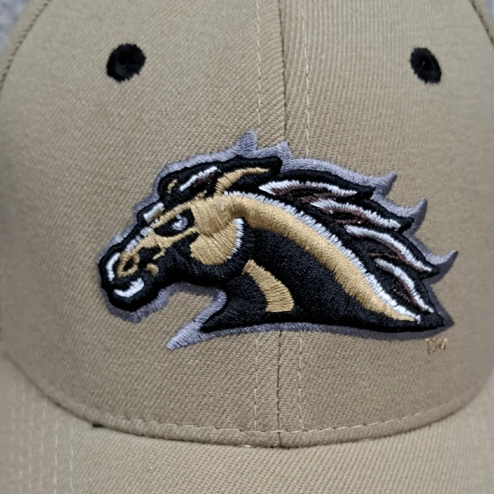 Top‎ Of The World Denver Broncos Logo Hat Embroidered